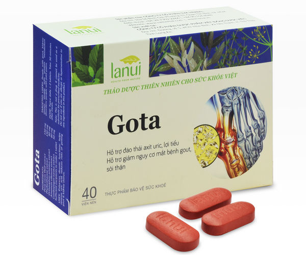 GOTA hỗ trợ điều trị Gout hiệu quả cả với người bệnh lâu năm