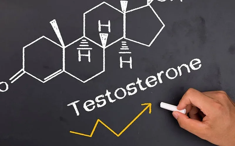 Testosterone: Chìa Khóa Cân Bằng Sức Khỏe Thể Chất, Tinh Thần và Sinh Lý