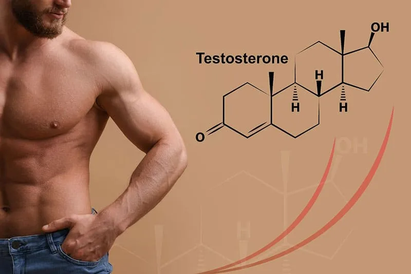 Vai Trò Của Testosterone Trong Sinh Lý Nam Và Cách Tăng Hormone Tự Nhiên